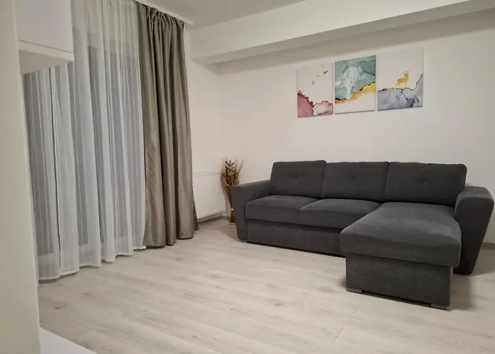 Ariel Deluxe 2 & 3 Rooms Apartments Coresi Brasov